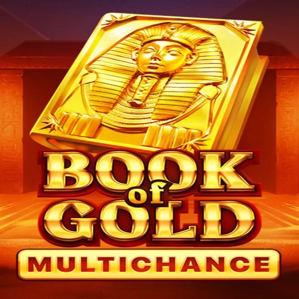 Book of Gold Multichance logo by Playson Ninlay Casino
